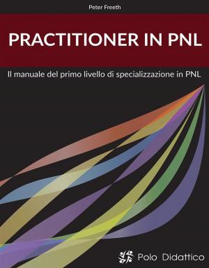 Cover of the book Practitioner in PNL by 26 Ways