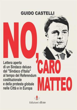 Cover of the book No, caro Matteo by Massimiliano Comparin