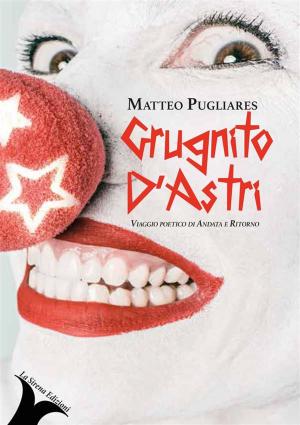 Book cover of Grugnito D'Astri