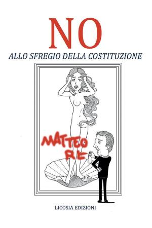 Cover of the book NO allo sfregio della Costituzione by Antonio De Luca