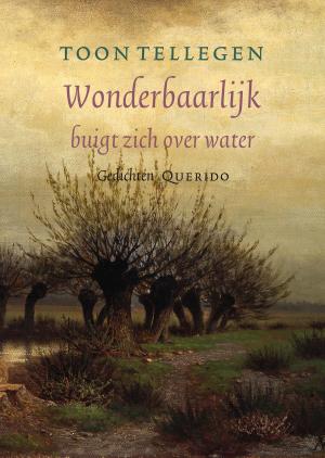 Cover of the book Wonderbaarlijk buigt zich over water by Pieter Waterdrinker
