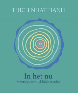 Cover of the book In het nu by Marinus van den Berg