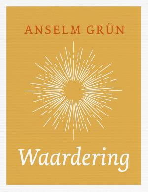 Cover of the book Waardering by Pieter L. de Jong