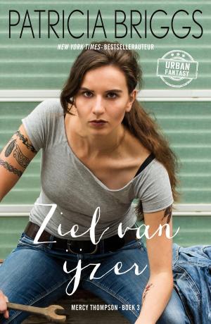 Cover of the book Ziel van ijzer by Volker Küster