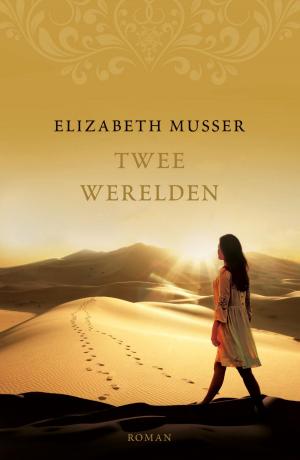 Cover of the book Twee werelden by Linda Bruins Slot