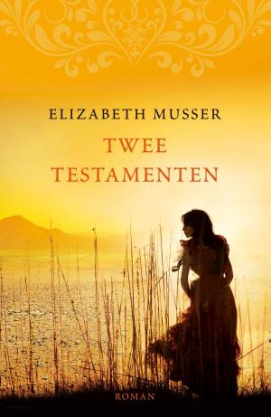 Cover of the book Twee testamenten by Marijke van den Elsen, Jolanda Hazelhoff, Gilian King, Petra Kruijt, Els Ruiters, Carlie van Tongeren, Rianne Verwoert, Anne West