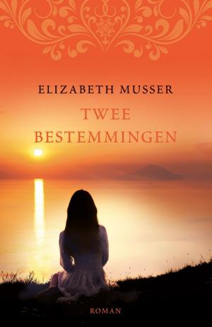 Cover of the book Twee bestemmingen by Lincoln Peirce