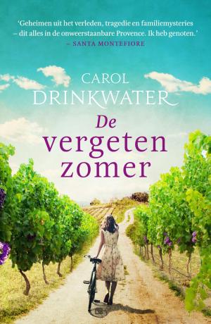 Cover of the book De vergeten zomer by Suzanne Vermeer