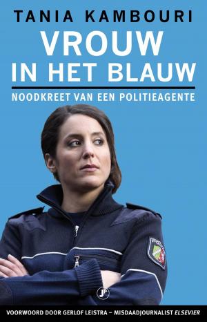 Cover of the book Vrouw in het blauw by Merel van Groningen