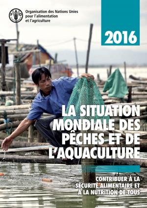 Cover of the book La situation mondiale des pêches et de l’aquaculture 2016: Contribuer à la sécurité alimentaire et à la nutrition de tous by Department of Public Information