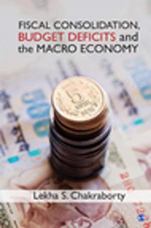 Cover of the book Fiscal Consolidation, Budget Deficits and the Macro Economy by Professor Jonathan Parker