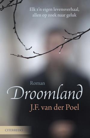 Cover of the book Droomland by Olga van der Meer