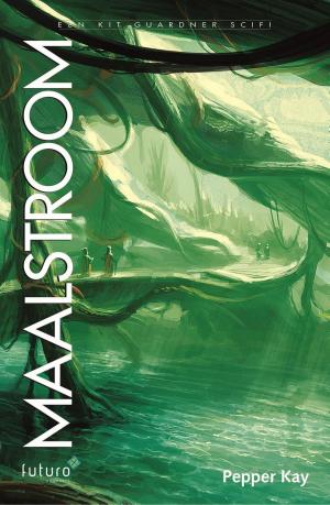 Cover of the book Maalstroom by S. F. Kyd