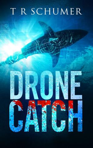 Book cover of Drone Catch