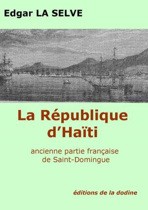 Cover of the book La République d'Haïti by Éric Téhard