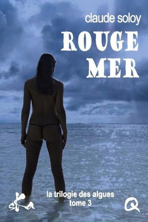 Cover of the book Rouge mer by Elodie Torrente