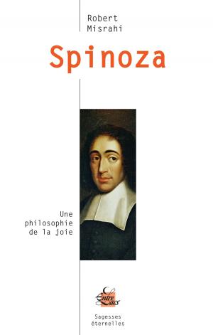 Book cover of Spinoza