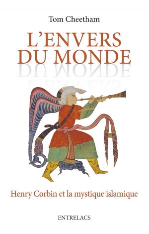 Cover of the book L'envers du monde by Julien Leclaire