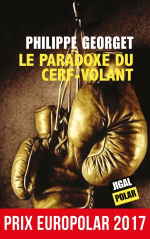 Book cover of Le paradoxe du cerf-volant