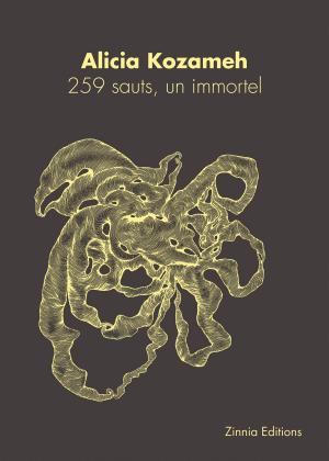 Book cover of 259 sauts, un immortel