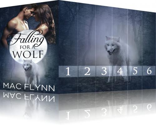 Cover of the book Falling For A Wolf Box Set by Mac Flynn, Mac Publishing