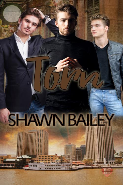 Cover of the book Torn by Shawn Bailey, MLR Press