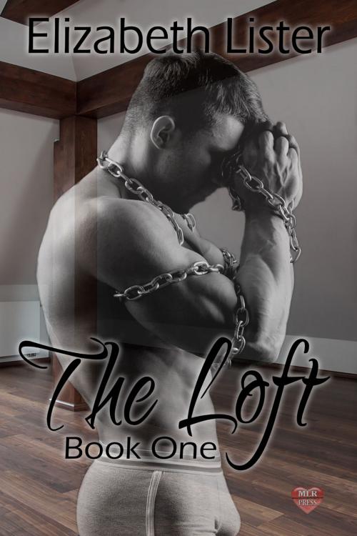 Cover of the book The Loft by Elizabeth Lister, MLR Press