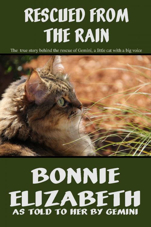 Cover of the book Rescued From the Rain by Bonnie Elizabeth, Gemini, My Big Fat Orange Cat Publishing