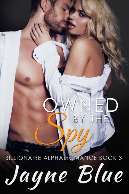 Cover of the book Owned by the Spy by Jayne Blue, Nokay Press, LLC