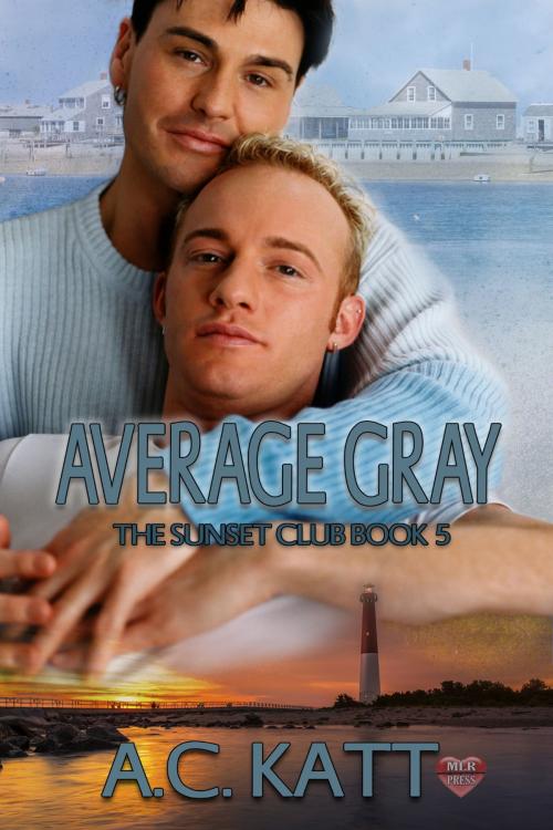 Cover of the book Average Gray by A.C. Katt, MLR Press