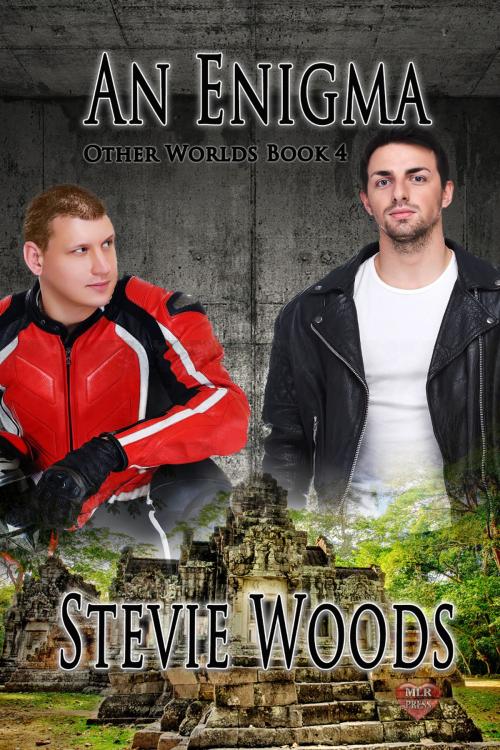 Cover of the book An Enigma by Stevie Woods, MLR Press
