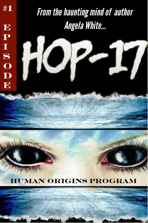 Cover of the book HOP-17 by Angela White, C9 Publications