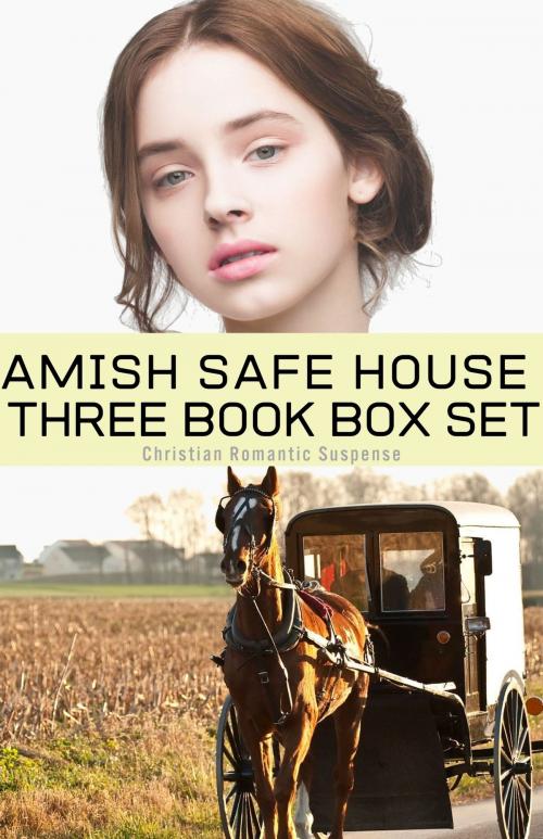 Cover of the book Amish Safe House 3 Book Box Set by Ruth Hartzler, Amish Romance Books