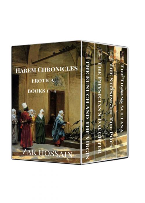 Cover of the book Harem Chronicles Boxed Set 1-4 by Zak Hossain, Zak Hossain