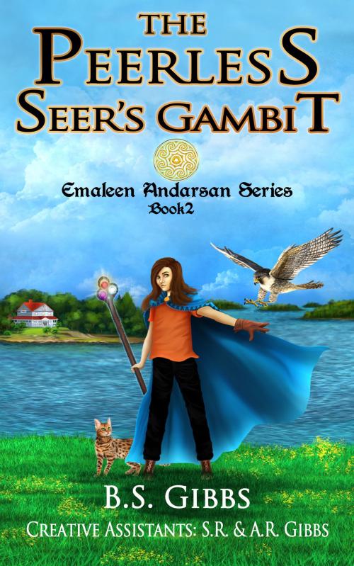 Cover of the book The Peerless Seer's Gambit by B.S. Gibbs, Gibbs Publishing