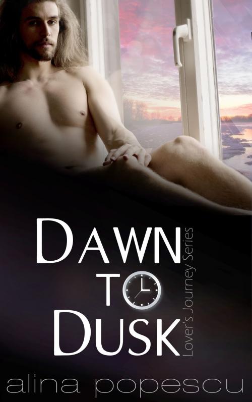 Cover of the book Dawn to Dusk by Alina Popescu, Alina Popescu
