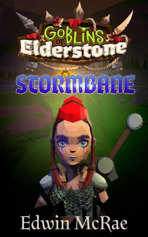 Cover of the book Stormbane: A Gamelit adventure by Edwin McRae, Fiction Engine