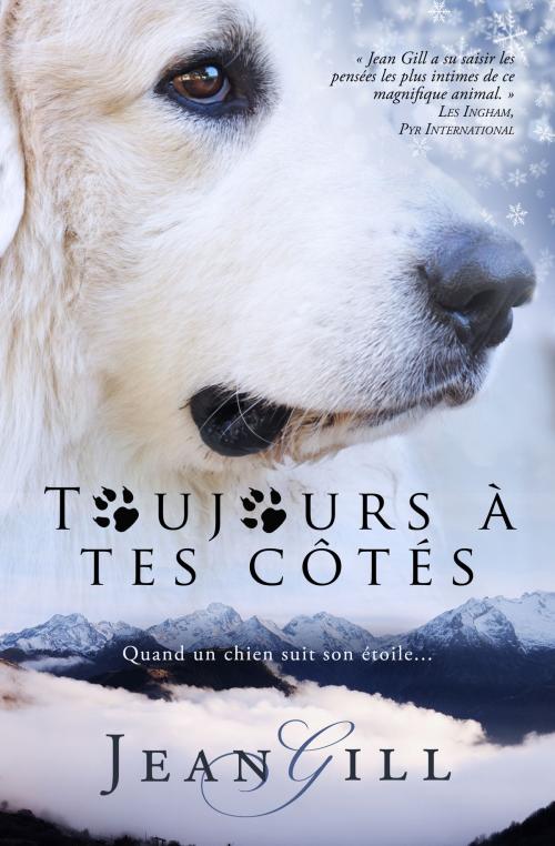 Cover of the book Toujours à Tes Côtés by Jean Gill, The 13th Sign