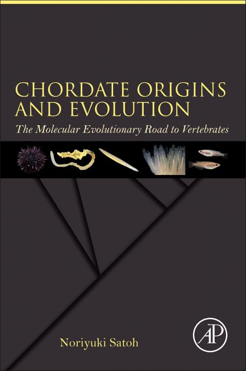 Cover of the book Chordate Origins and Evolution by Noriyuki Satoh, Elsevier Science