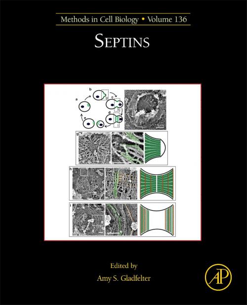 Cover of the book Septins by Amy S Gladfelter, Elsevier Science