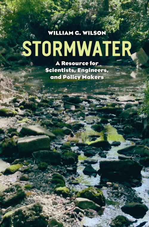 Cover of the book Stormwater by William G. Wilson, University of Chicago Press