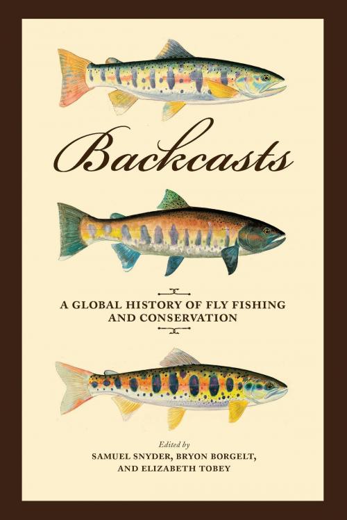 Cover of the book Backcasts by , University of Chicago Press