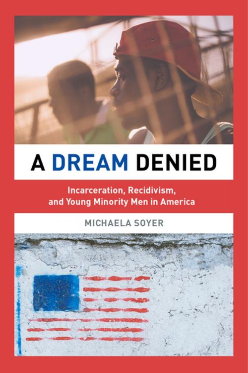Cover of the book A Dream Denied by Michaela Soyer, University of California Press