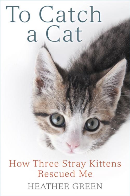 Cover of the book To Catch a Cat by Heather Green, Penguin Publishing Group