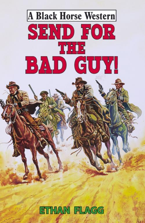 Cover of the book Send for the Bad Guy by Ethan Flagg, Robert Hale
