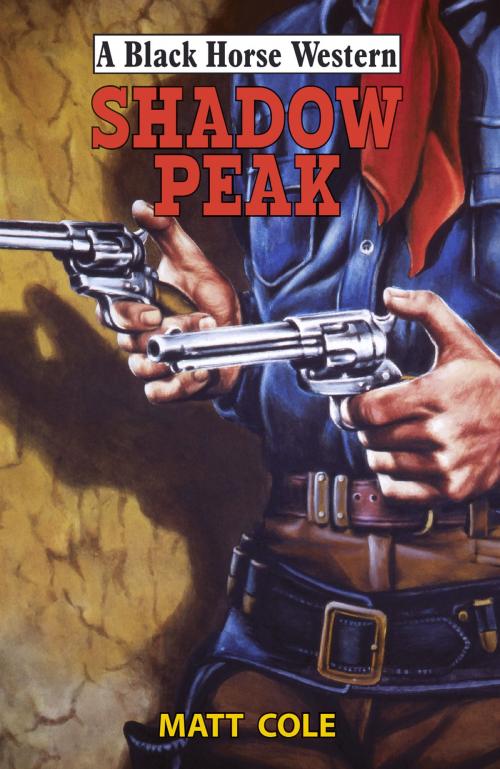 Cover of the book Shadow Peak by Matt Cole, Robert Hale