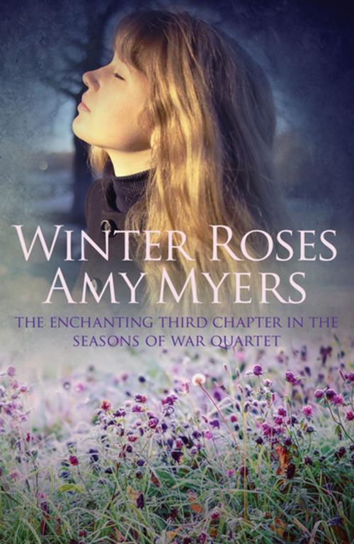 Cover of the book Winter Roses by Amy Myers, Allison & Busby