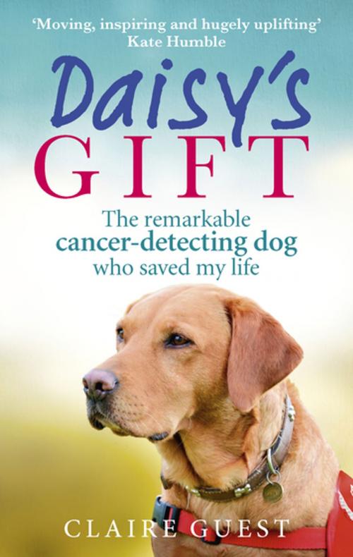 Cover of the book Daisy’s Gift by Claire Guest, Ebury Publishing