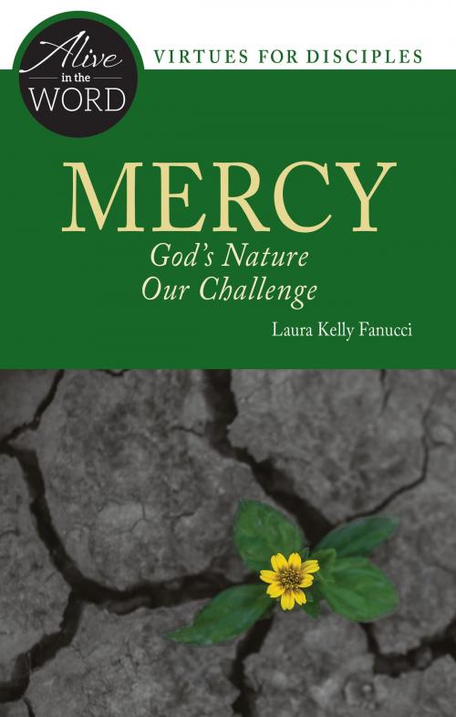 Cover of the book Mercy by Laura Kelly Fanucci, Liturgical Press