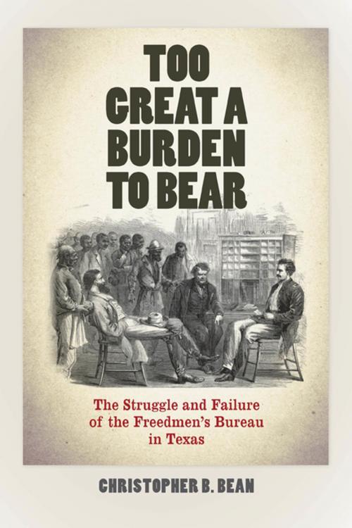 Cover of the book Too Great a Burden to Bear by Christopher B. Bean, Fordham University Press